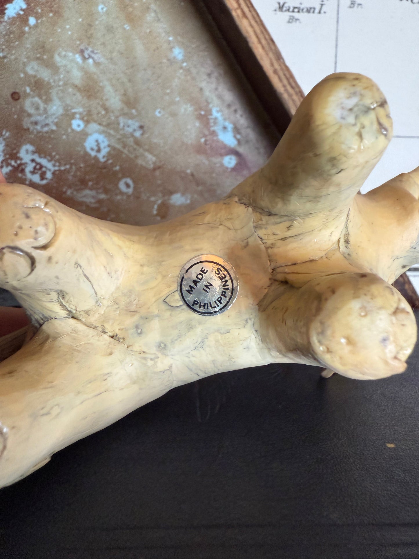 Pair of Crushed Oyster Shell Elephant Sculptures