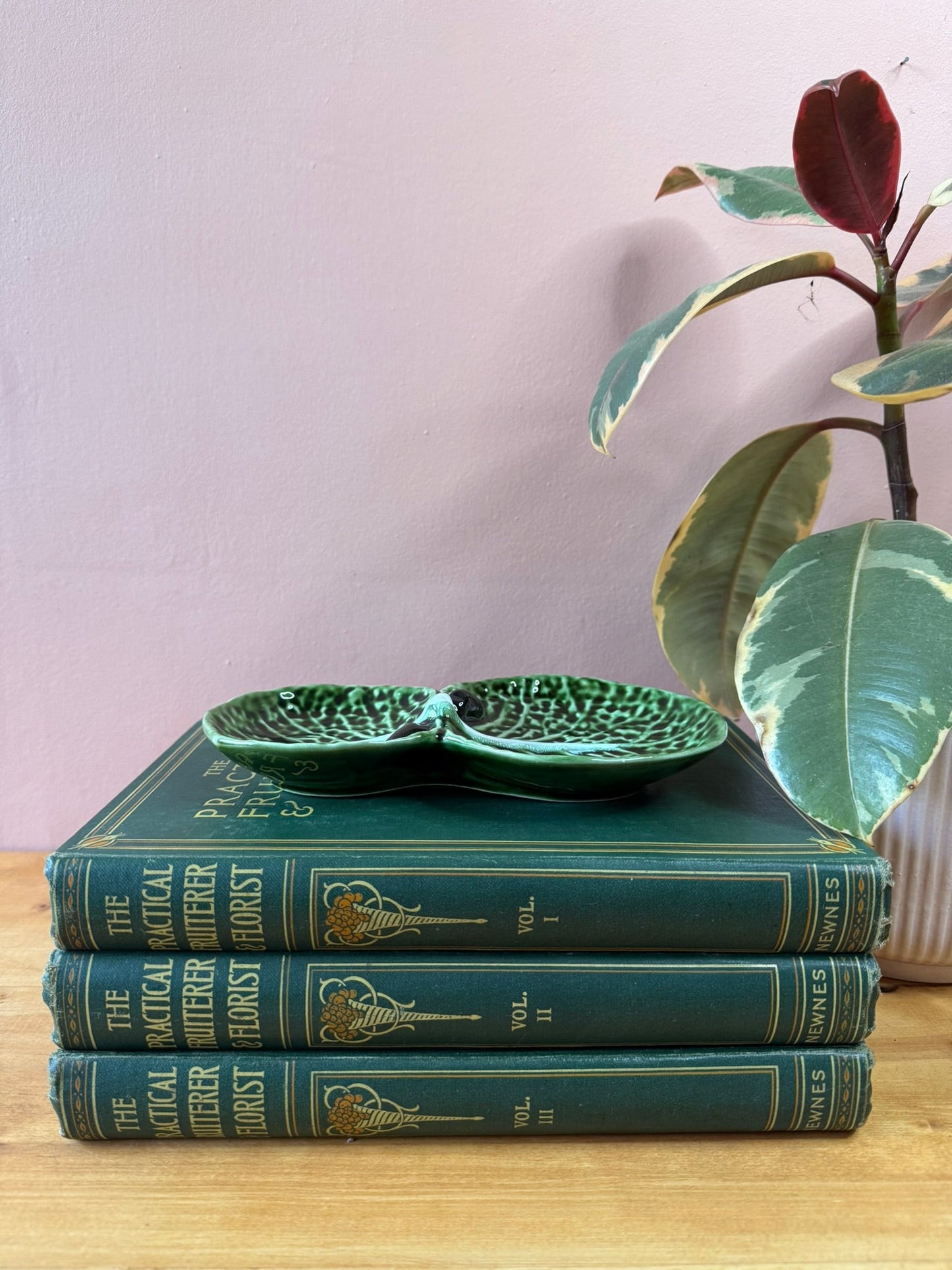 Caldas de Rainha Cabbage Leaf and Olive Dish