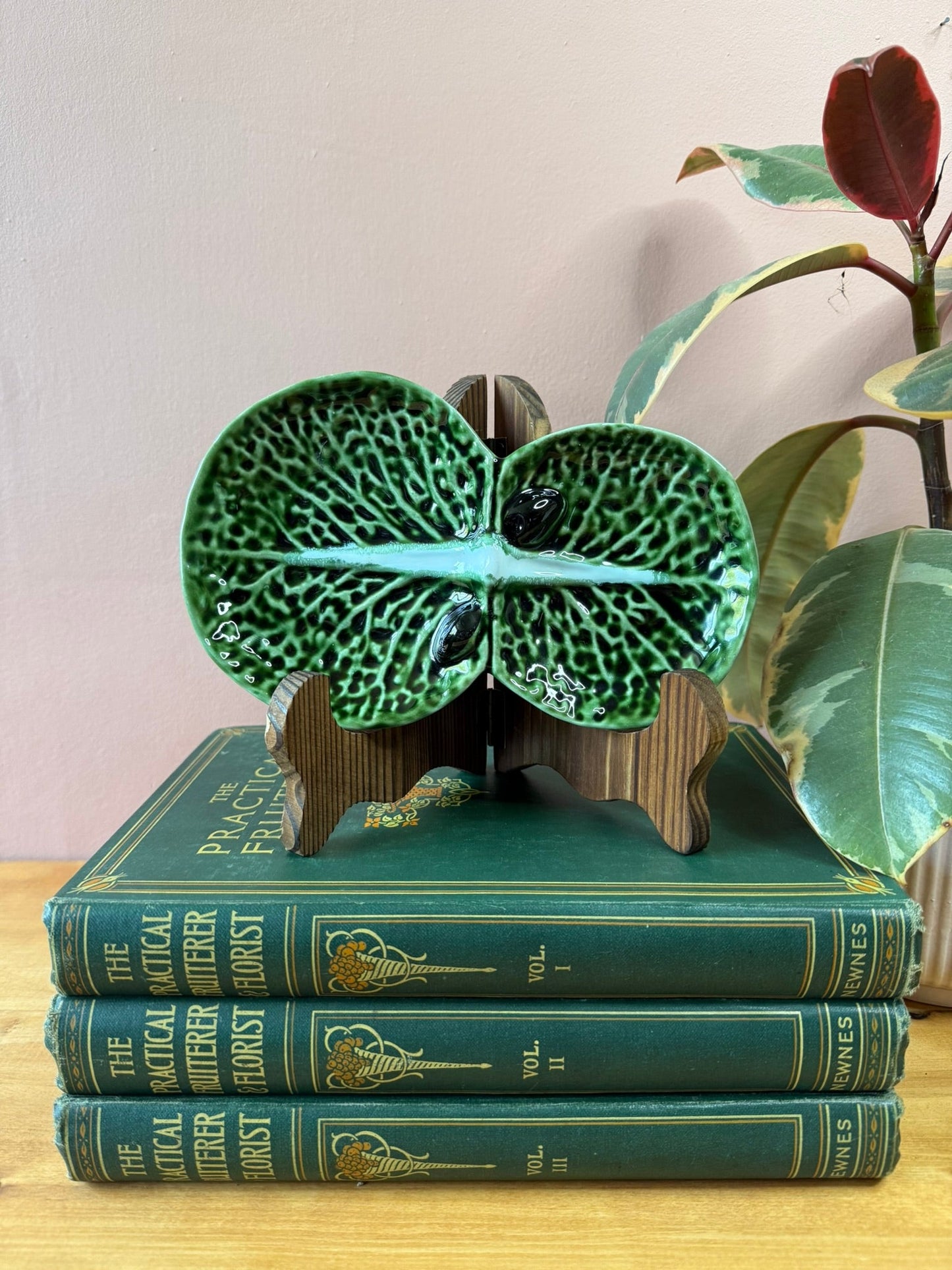 Caldas de Rainha Cabbage Leaf and Olive Dish